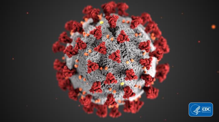 Read more about the article WMVA Coronavirus Update